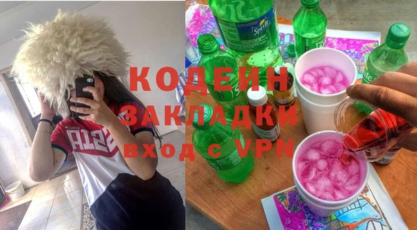 шишки Михайловск