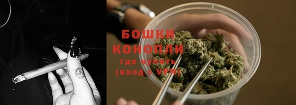 шишки Михайловск