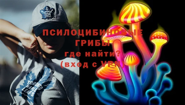 шишки Михайловск