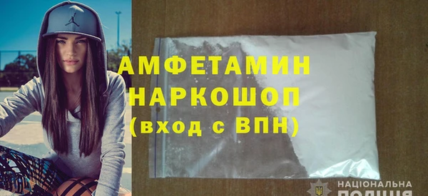 шишки Михайловск