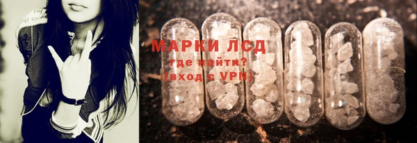 трава Наволоки