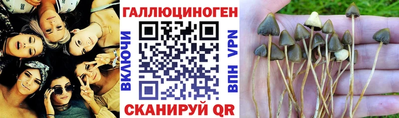 Галлюциногенные грибы MAGIC MUSHROOMS  Родники 