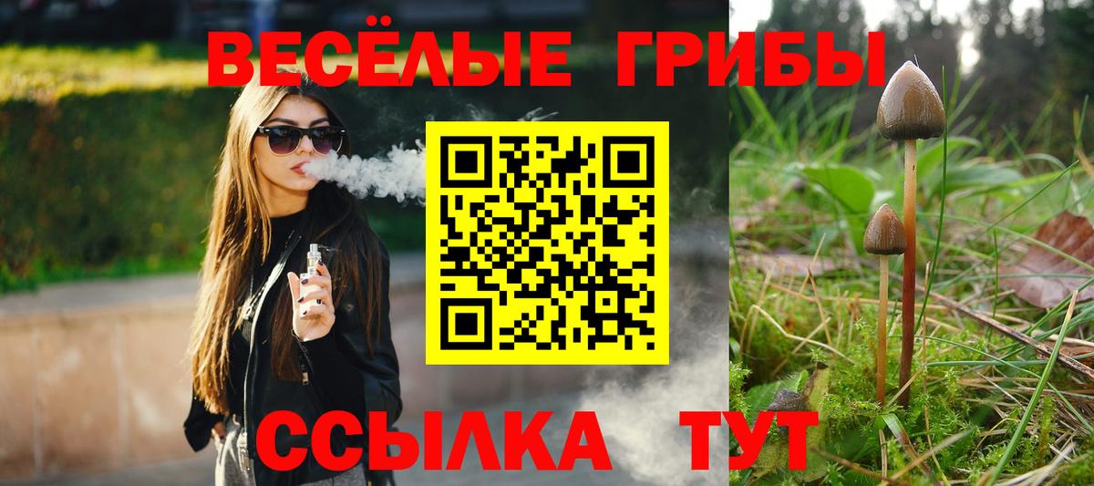 Псилоцибиновые грибы MAGIC MUSHROOMS  купить закладку  Родники  Вход с VPN  Галлюциногенные грибы Psilocybe 