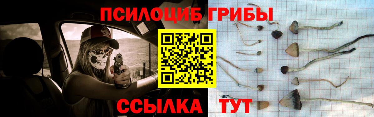 Alpha PVP СК   Cocaine  Гашиш  МАРИХУАНА  МЕФ кристаллы  Вход с VPN  Родники  Меф  ГЕРОИН 